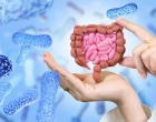 lactobacillus