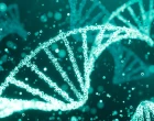 RNA