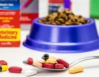 antibiotika a veterina