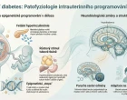 Proč gestační diabetes zvyšuje riziko nadváhy potomka v mladším školním věku
