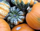 dyne, pumpkin