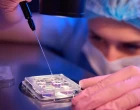 ocused-lab-scientist-collecting-vitro-cultured25