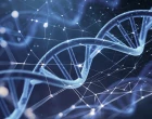 Evropa čte DNA: Genomické projekty, které mění budoucnost