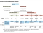 Infografika_obezitologie_Eli Lilly