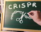 léčba pomocí editace RNA