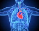 BETA CARDIO