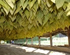  :IMPORT-RH:
