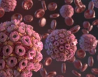 Koronavirus_molekula_1