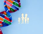 DNA helix structure and family paper model