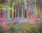 migraine aura 25