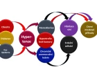 Patologická kaskáda komplikací u hypertenze-1