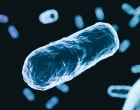 antibiotika rezistence
