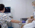 Ultrasonografické vyšetření pes