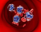 T-cell