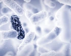 antibiotická rezistence