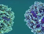 biosimilars video tesarova