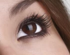  :IMPORT-SZ: