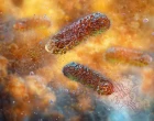 Oktenidin – rychlý a spolehlivý pomocník