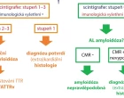 infografika amyloidoza