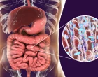 microbiom_střeva