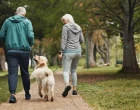 Dokážou psi čichem rozpoznat Parkinsonovu chorobu?