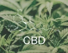 CBD