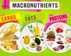 makronutrienty