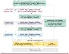 SERVIER_Kardiologie_infografika_duben
