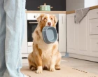 vet článek květen dieta