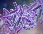 mikrobiom
