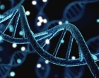 genetika a testovani