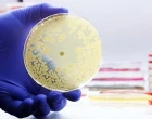antibiotika