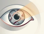 AI MEDIA 20260605091544