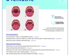 Riziko termického poškození při transmeatální endoskopické ušní chirurgii