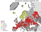 Babezióza u psů obr. 1