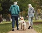Dokážou psi čichem rozpoznat Parkinsonovu chorobu?