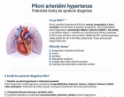 MSD_Infografika_PAH