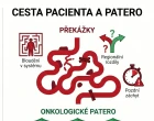 Ministerstvo zdravotnictví otevřelo data ke třem onkologickým diagnózám