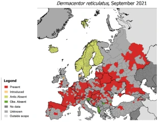 Babezióza u psů obr. 1