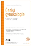Číslo 6
