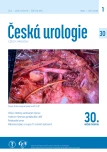 Issue 1