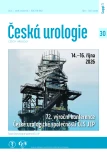 Číslo Supplementum