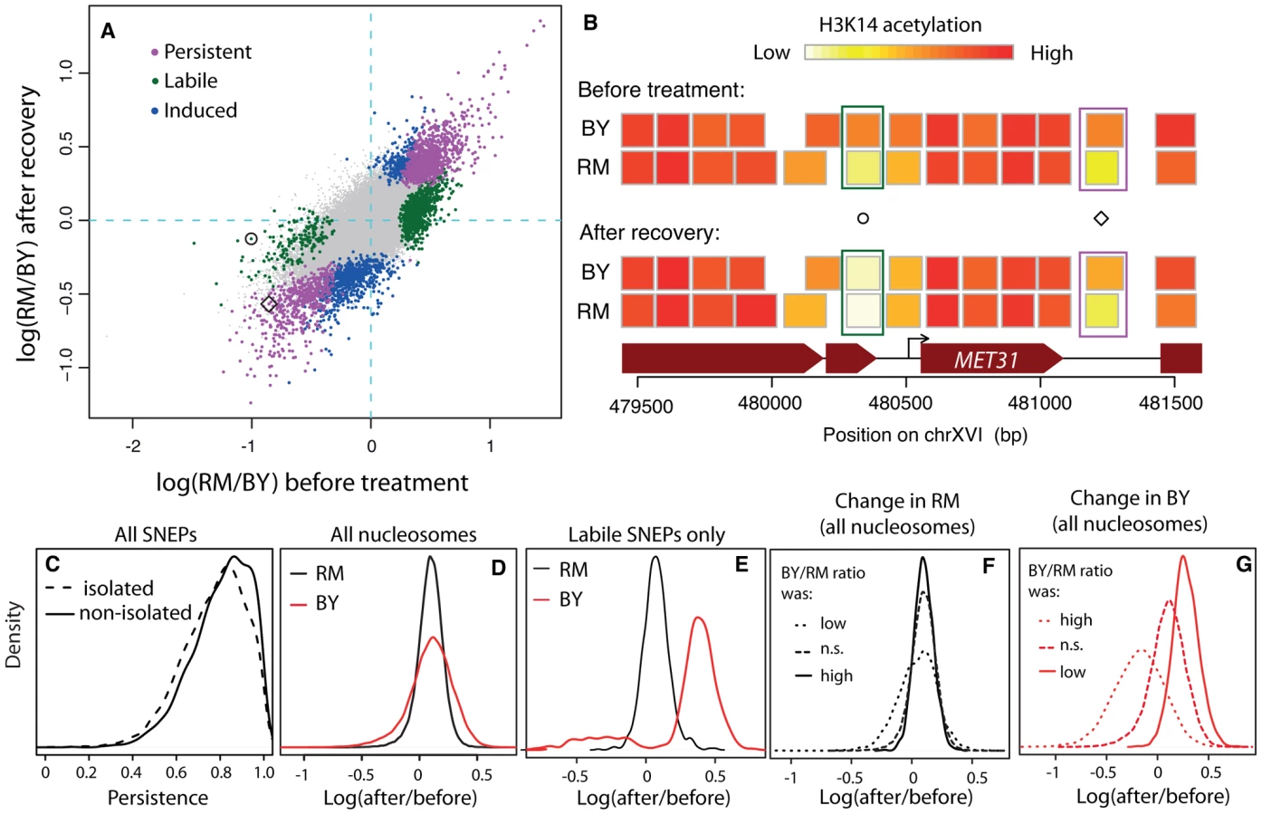 Genetic Modifiers of Chromatin Acetylation Ant... | proLékárníky.cz
