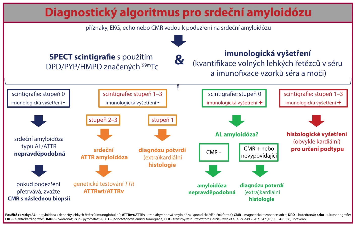 INFOGRAPHIC: Diagnostic Algorithm for Cardiac Amyl... | proLékaře.cz