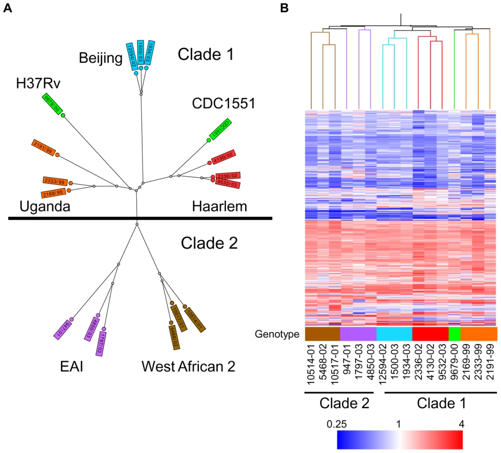 Compled Cl&d Functional Genetic Diversity among Complex Cl... | proLékárníky.cz