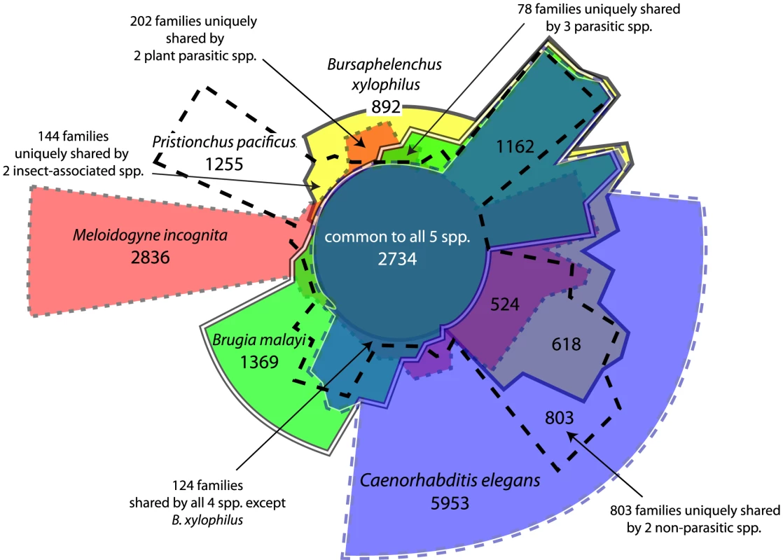 Distribution of orthologous gene families across five selected nematode genomes.