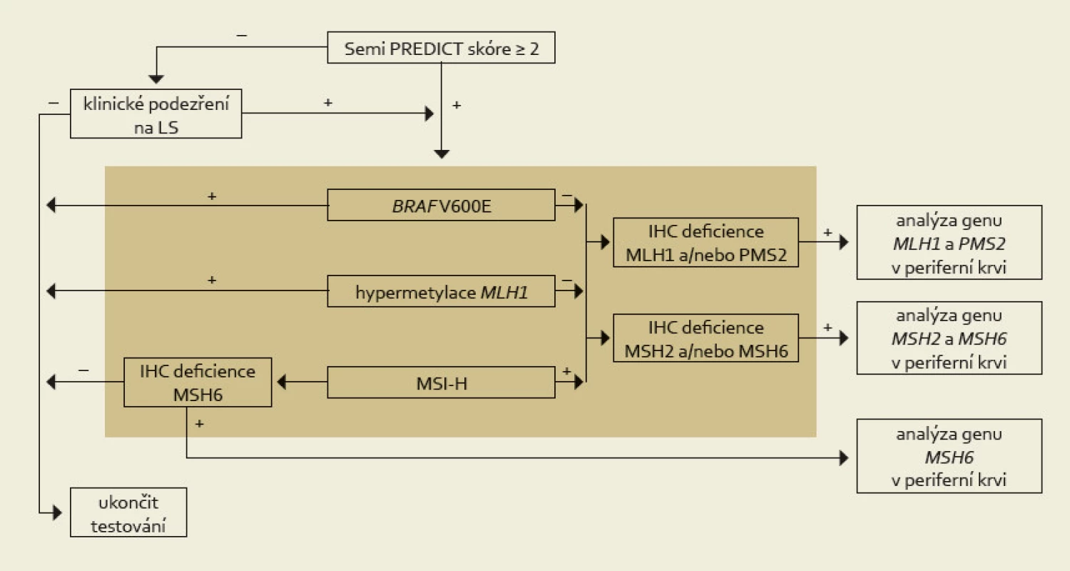 Komplexní management diagnostiky Lynchova syndromu. Na základě mikroskopického nálezu MSI-H histologie (nebo klinické žádosti) je proveden komplex vyšetření situovaný do hnědého obdélníku, který sestává z imunohistochemického vyšetření exprese MMR proteinů, analýzy MSI, metylace promotoru <em>MLH1</em> a stavu genu <em>BRAF</em>. Tyto metody jsou v současné době na našem pracovišti z časových důvodů prováděny simultánně. K dalšímu genetickému vyšetření zárodečných mutací MMR genů jsou primárně vybráni pacienti s MSI-H tumory bez mutace <em>BRAF</em> a bez hypermetylace promotoru genu <em>MLH1</em>. Za zvláštních okolností (zejména při ztrátě imunoexprese MSH6) je však vhodné testovat i MSS karcinomy (převzato z webu http://www.lynch.cz). 
Fig. 2. Comprehensive management of Lynch syndrome diagnosis. Based on the microscopic finding of MSI-H histology (or clinical request), a complex of examinations is made (situated in the brown rectangle), which consist of immunohistochemical examination of the expression of MMR proteins, MSI analysis, methylation of the <em>MLH1</em> promoter, and <em>BRAF</em> gene status. These methods are currently performed simultaneously in our department because of the time conditions. Further genetic testing of germ-line mutations of MMR genes is primarily made in patients with MSI-H tumors without <em>BRAF</em> mutations and without <em>MLH1</em> gene promoter hypermethylation. Under special circumstances (especially the loss of MSH6 immunoexpression) it is appropriate to test also MSS carcinoma (taken from website http://www.lynch.cz).