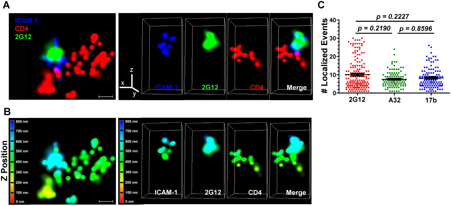 Superresolution imaging of Gp120 epitope exposure on TZM-bl-bound HIV<sub>JRFL</sub> virions.