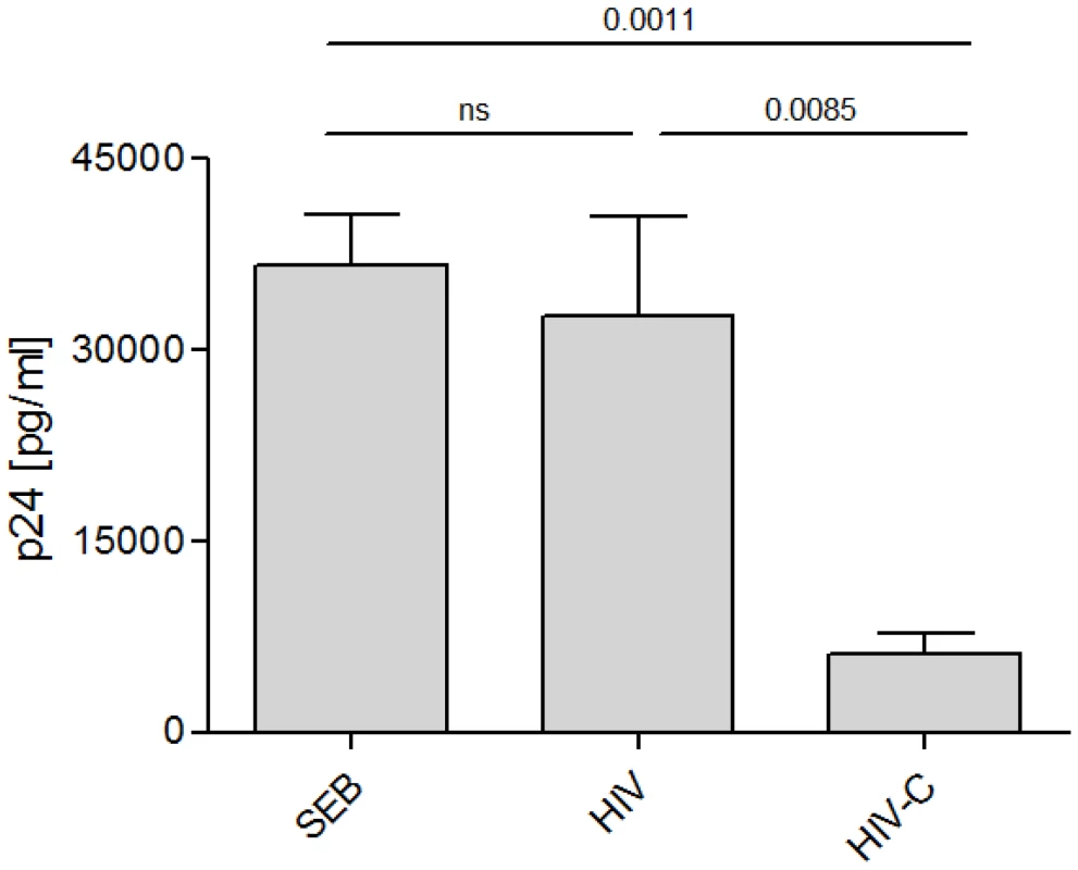 HIV-C-DC-primed CD8<sup>+</sup> T cells elicit antiviral effects.