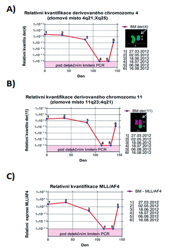 Kvantifikační grafy.
A) Relativní kvantifikace chromozomového zlomu na der(4).
B) Relativní kvantifikace chromozomového zlomu na der(11).
C) Relativní kvantifikace fúzního transkriptu MLL-AF4. BM – kostní dřeň.
